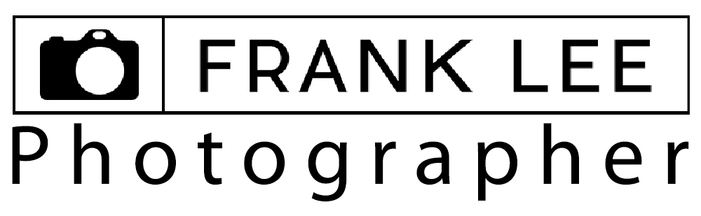 Frank Lee - Artist Website